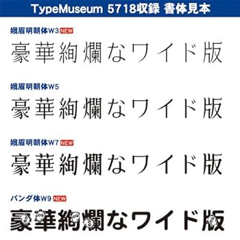 完品 DynaFont Type Museum TrueType 100 Amazon.co.jp: DynaFont TypeMuseum 5718 TrueType Win/Mac : PC